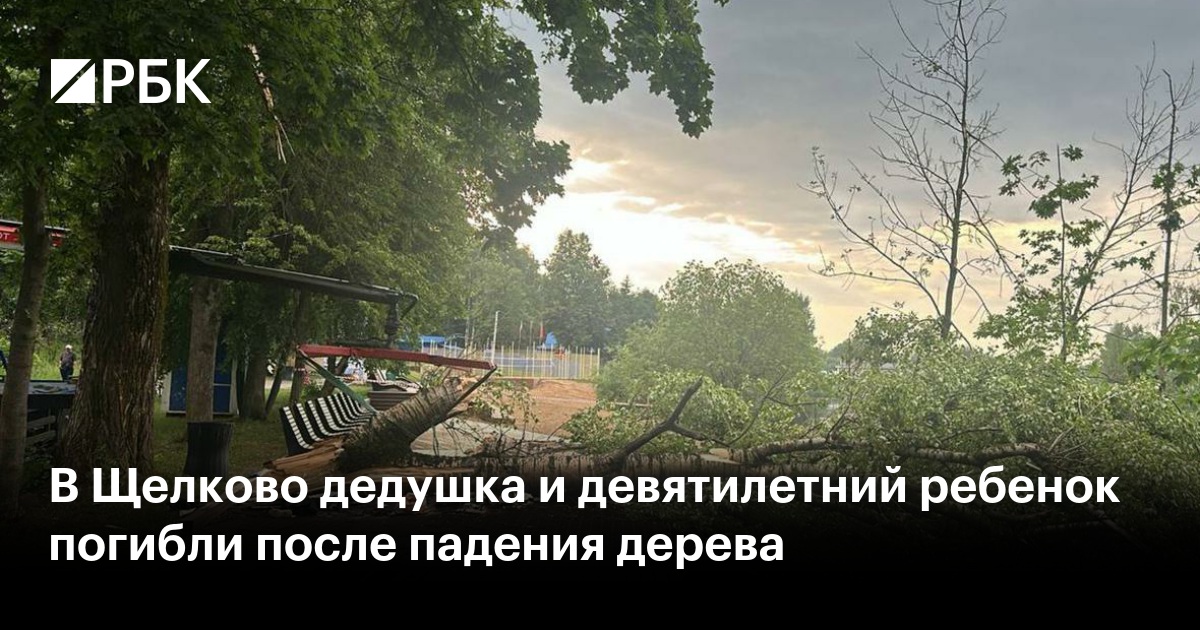 Бюджетное противоугонное средство. Водитель привязал машину к дереву, как собаку. ВИДЕО