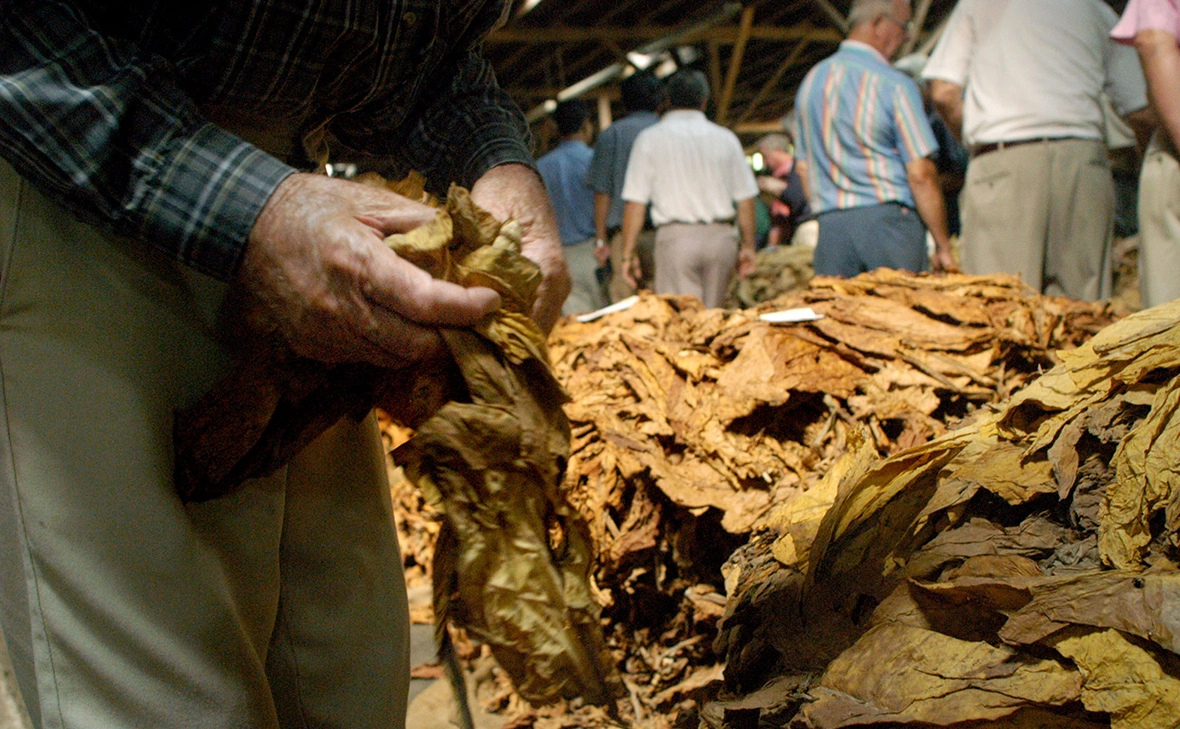 Logan Mock-Bunting / Getty Images