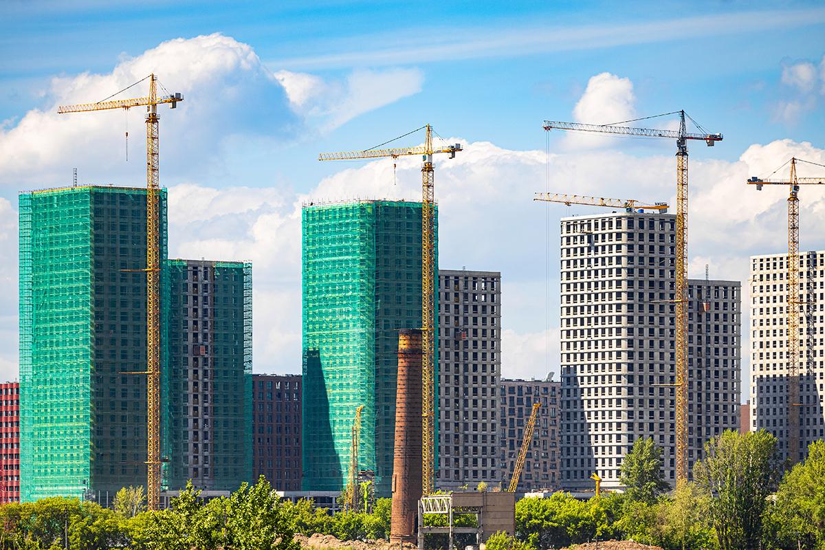 Фото: Oleg Opryshko / Shutterstock / FOTODOM