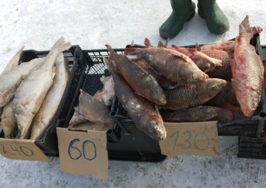 Алексей Коваленок / РБК Новосибирск