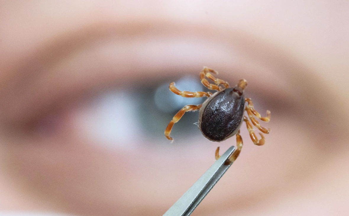 Marijan Murat / dpa/picture-alliance / ТАСС