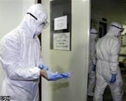 В Польше выявлен первый случай "птичьего гриппа"
