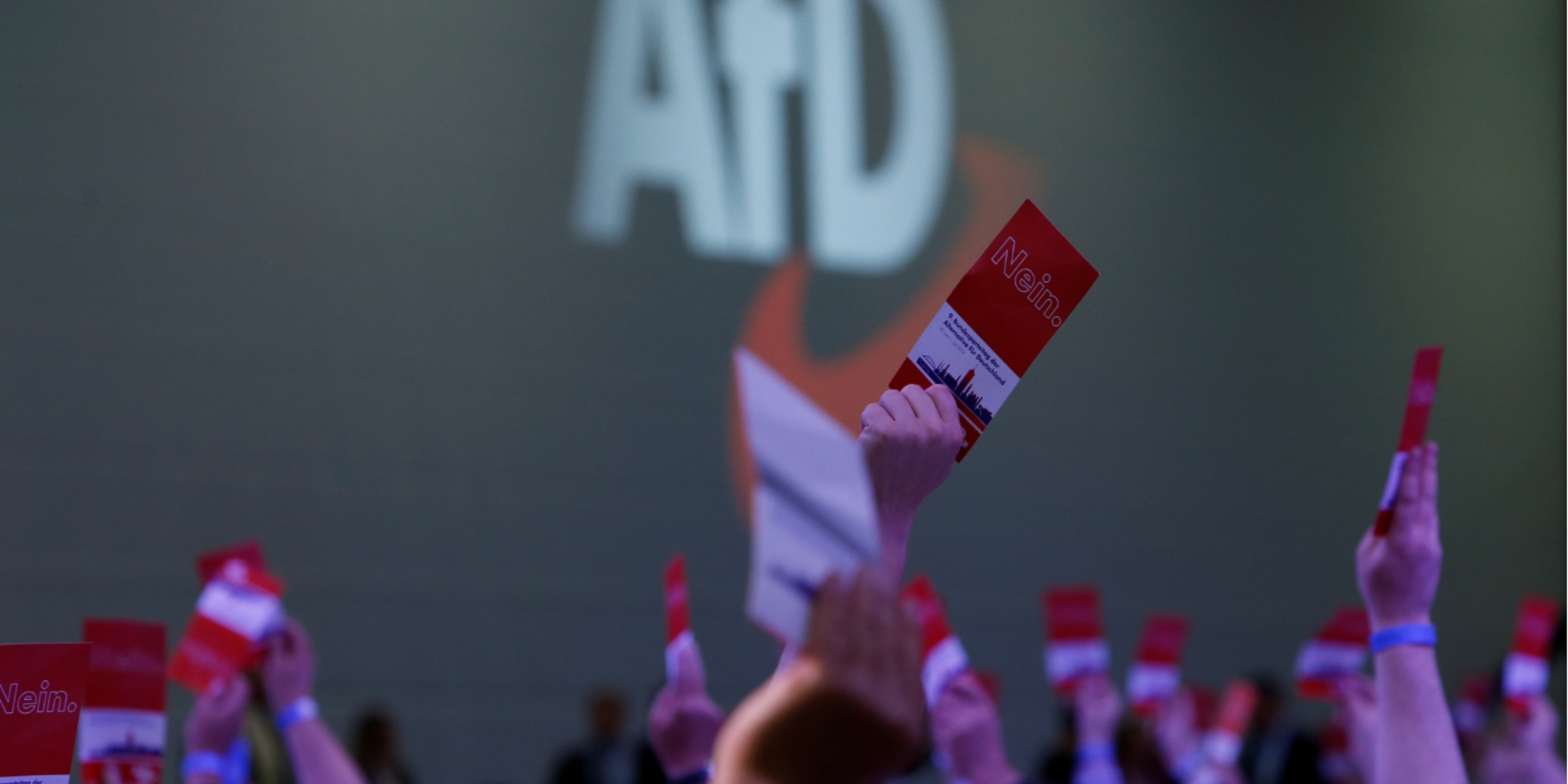 Второй по популярности партией ФРГ впервые стала антииммигрантская AfD