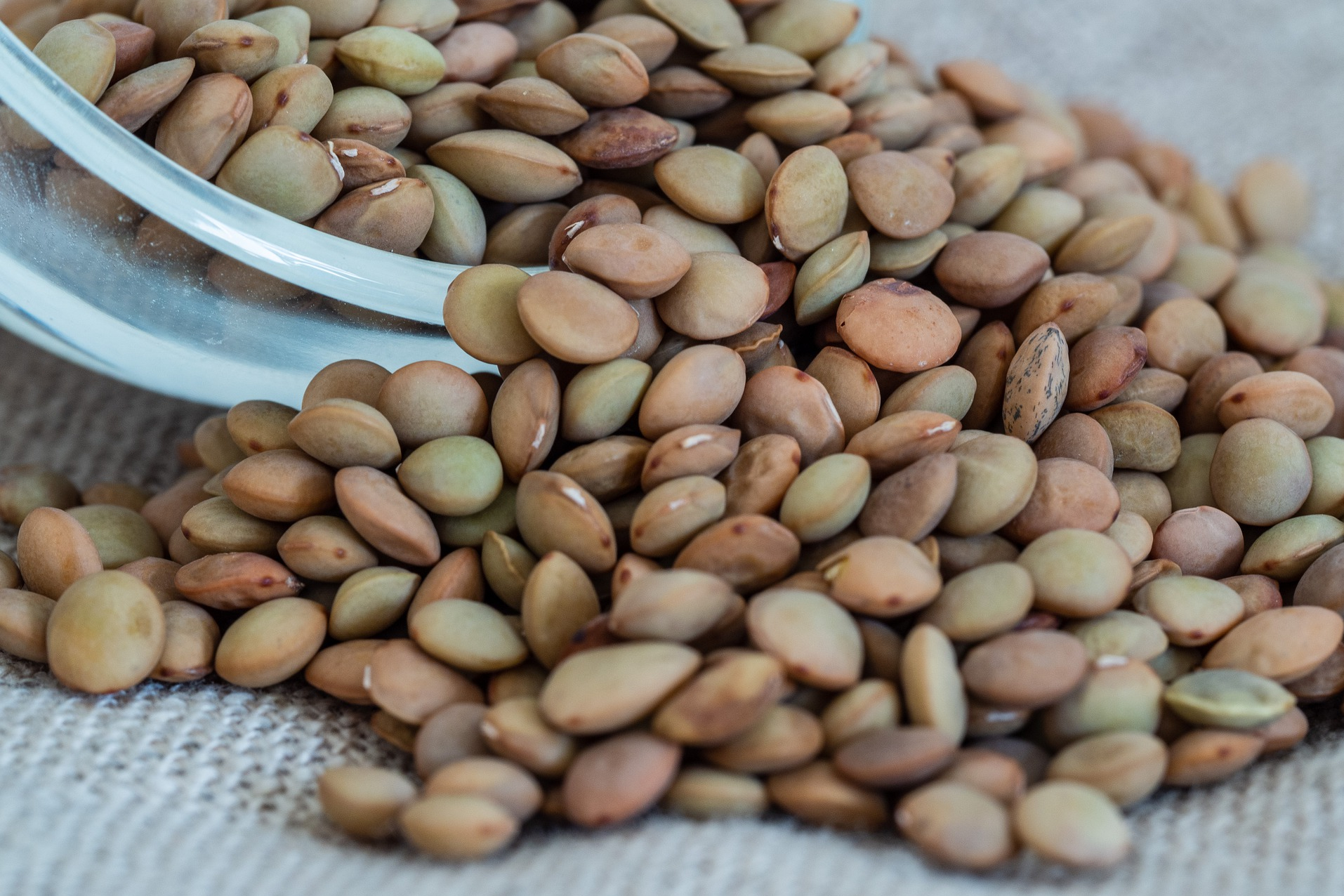 Фото: Martin Hetto/Pixabay 