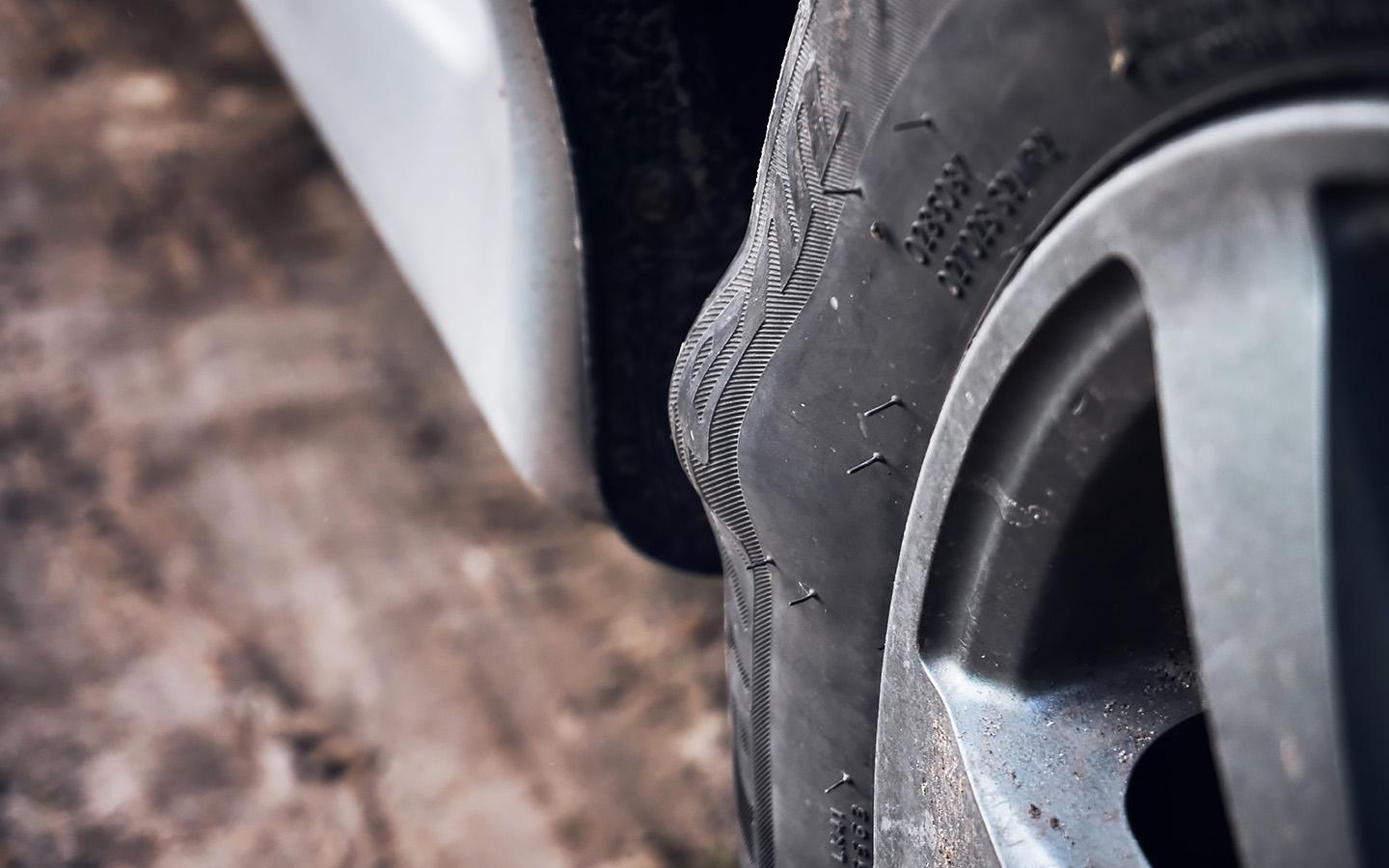 Фото: Golden Family Foto / Shutterstock / FOTODOM