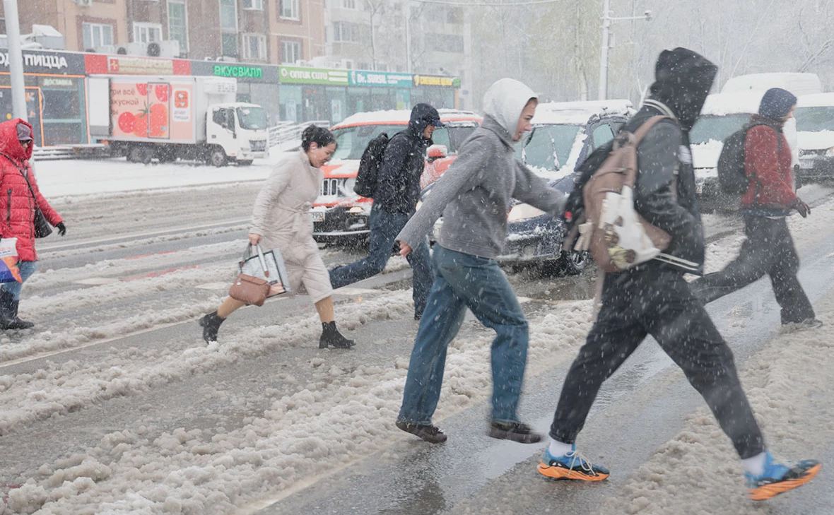 Михаил Гребенщиков / РБК