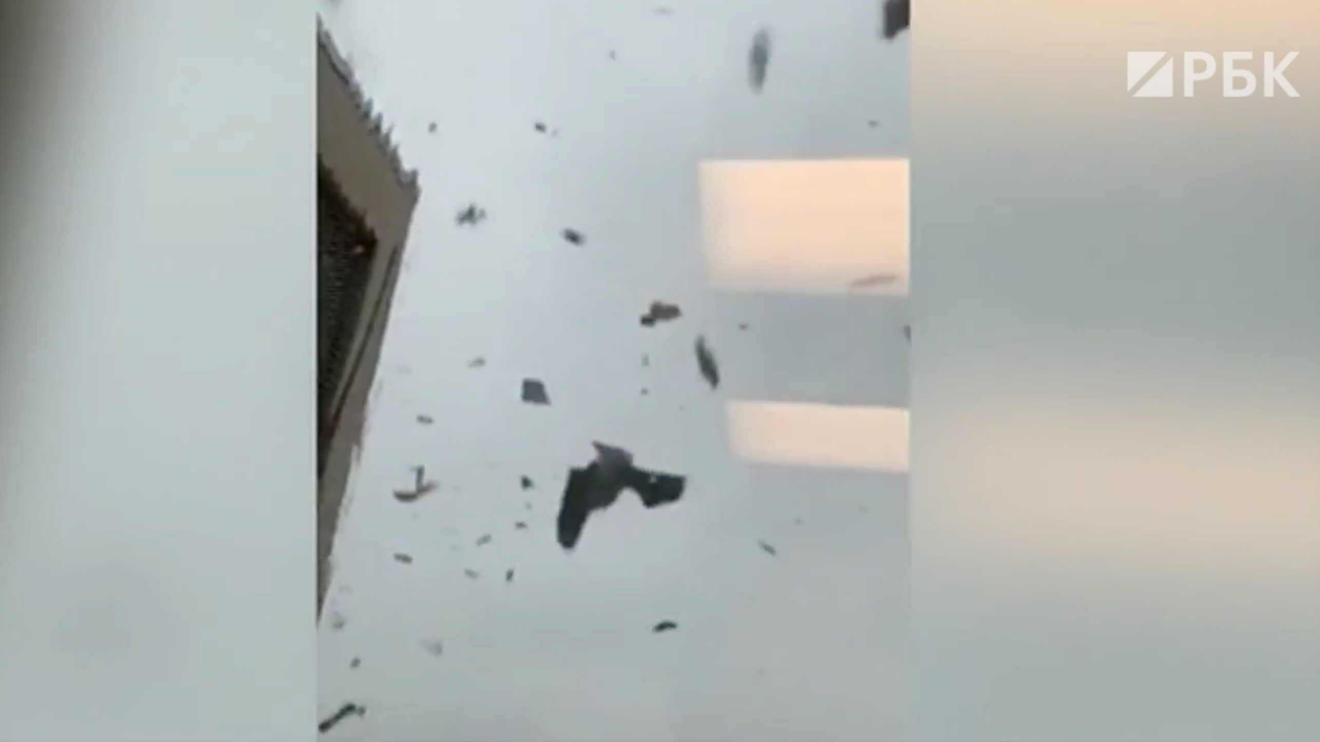 что случилось с новым орлеаном. 756303052965649. что случилось с новым орлеаном фото. что случилось с новым орлеаном-756303052965649. картинка что случилось с новым орлеаном. картинка 756303052965649. что случилось с новым орлеаном. 756303052965649. что случилось с новым орлеаном фото. что случилось с новым орлеаном-756303052965649. картинка что случилось с новым орлеаном. картинка 756303052965649.