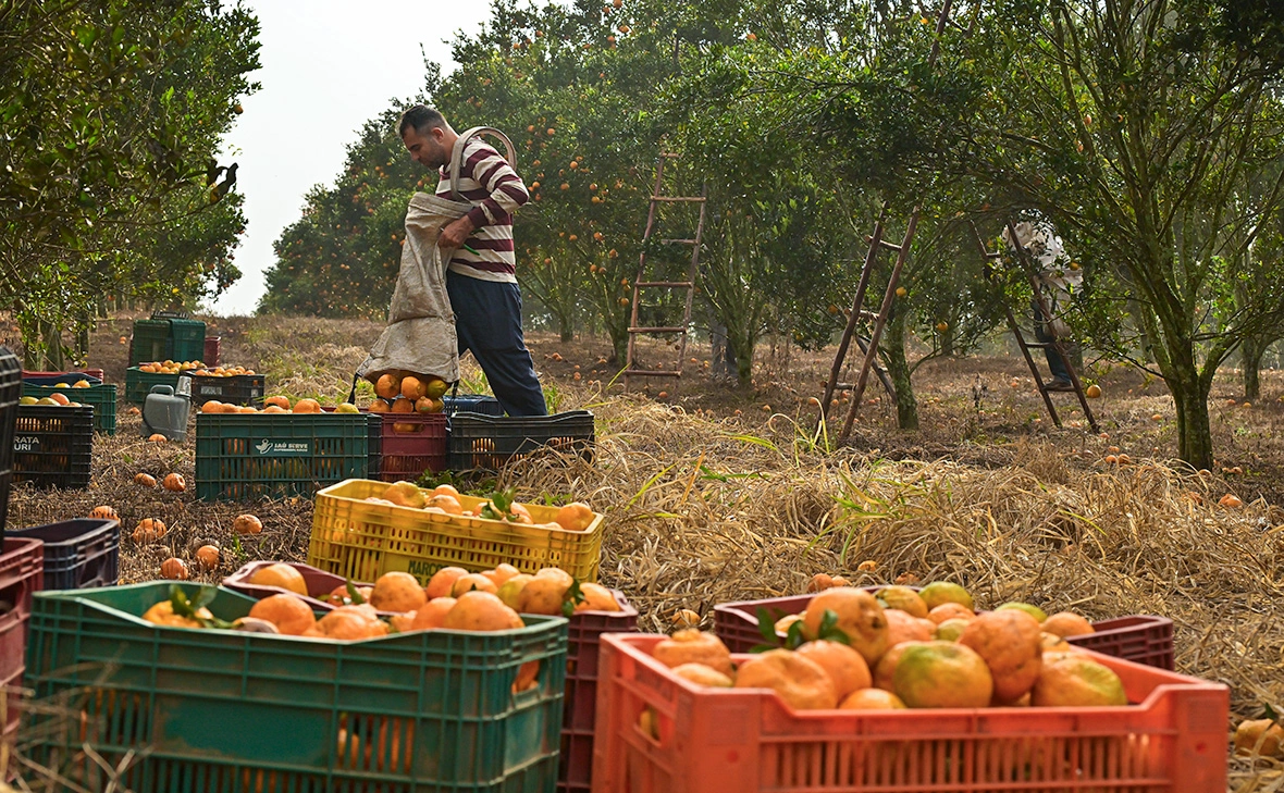Pedro Vilela / Getty Images
