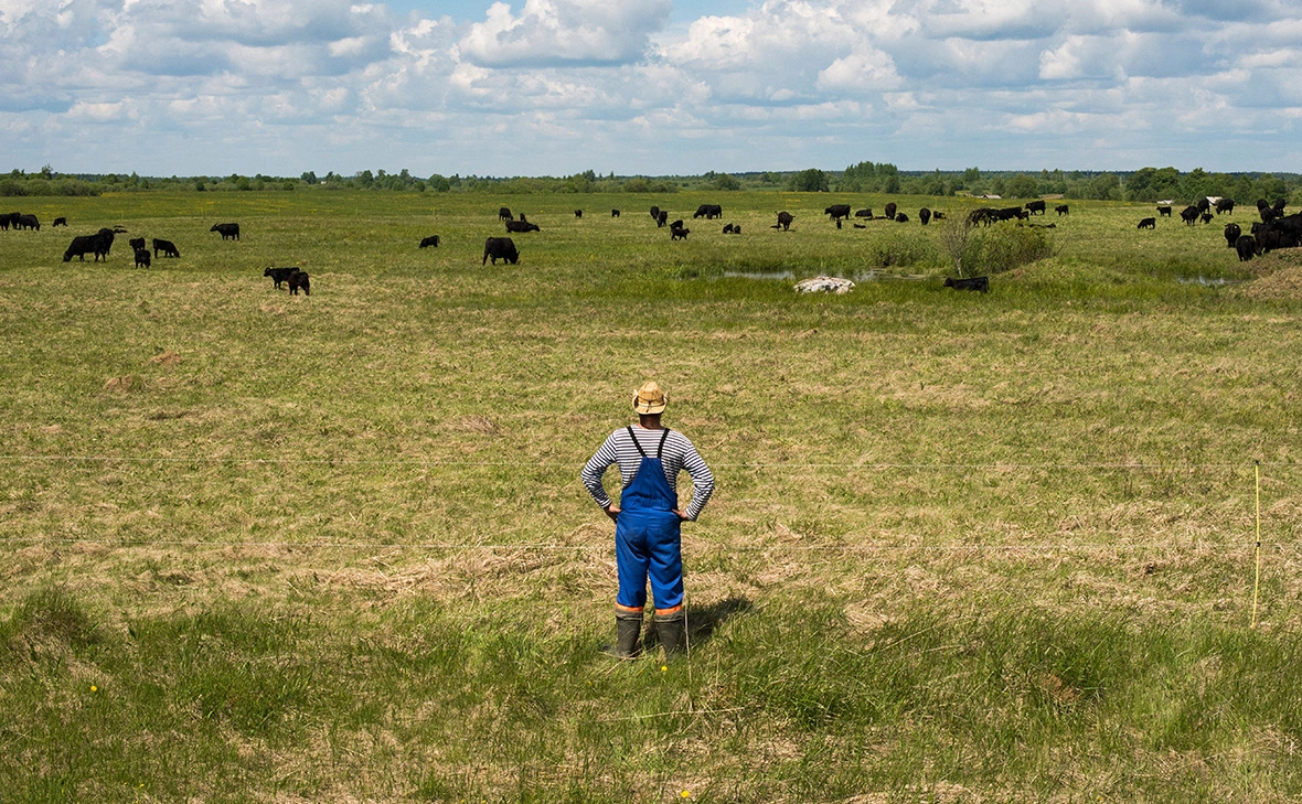 Рамиль Ситдиков / РИА Новости