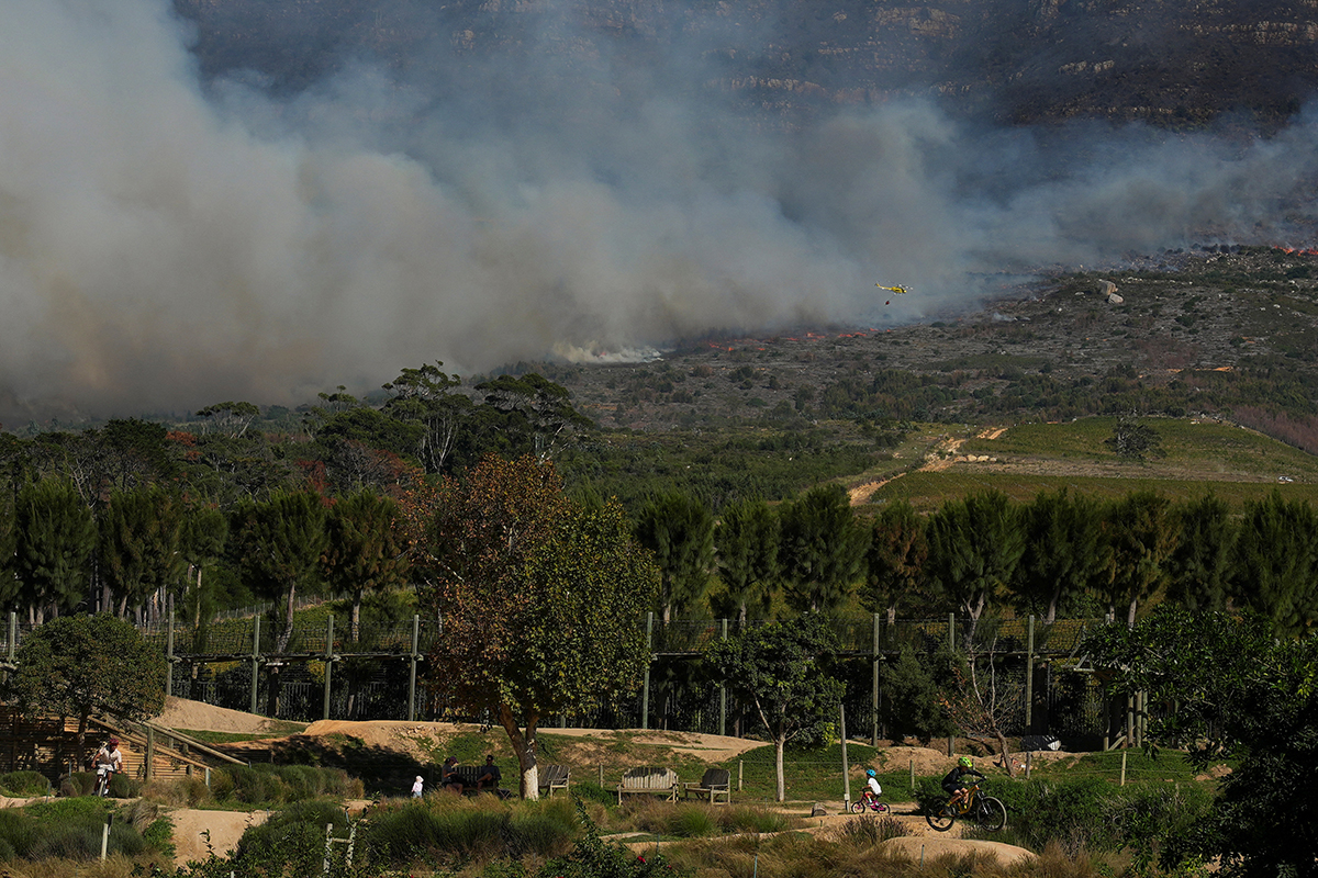 В ЮАР винодельни региона Констанция, старейшего винодельческого района страны, объединились в борьбе с лесными пожарами, охватившими территорию национального парка Тейбл-Маунтин