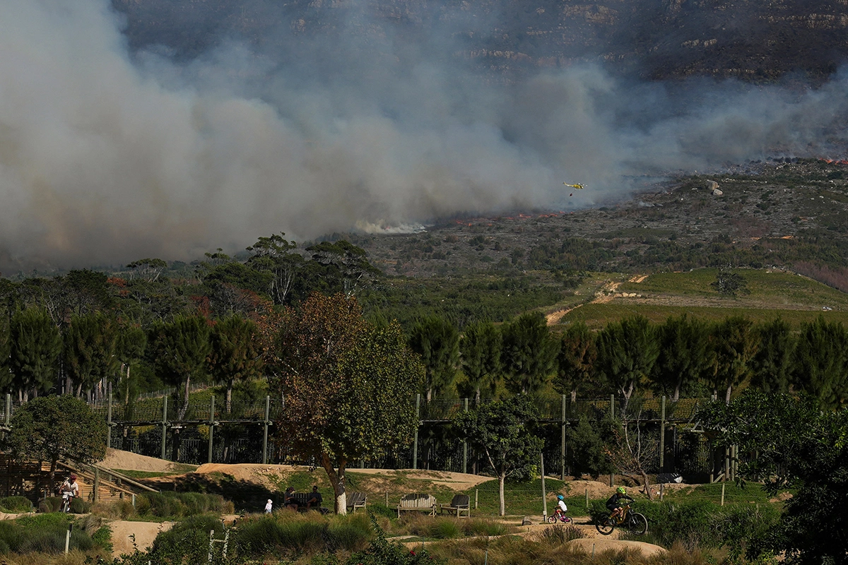 В ЮАР винодельни региона Констанция, старейшего винодельческого района страны, объединились в борьбе с лесными пожарами, охватившими территорию национального парка Тейбл-Маунтин