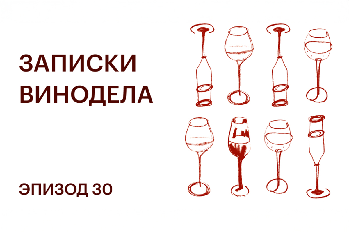 Записки винодела. Эпизод 30