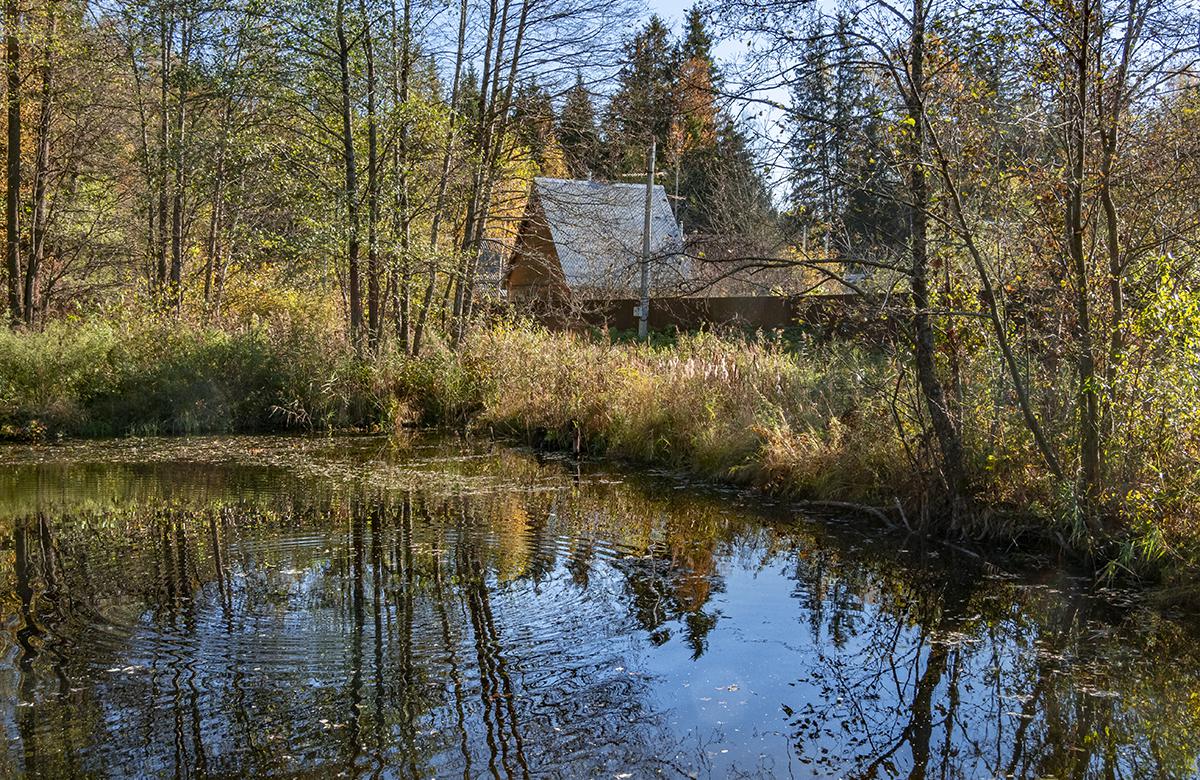 Что такое высокий уровень грунтовых вод, чем опасен и как его определить