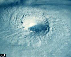 Тайфуны сохраняют мировому океану жизнь