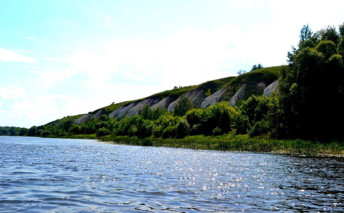 РБК Черноземье