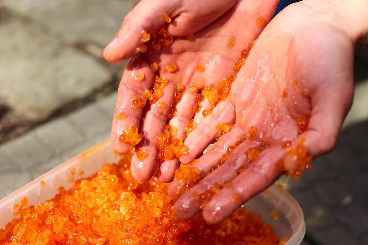 Александр Подгорчук