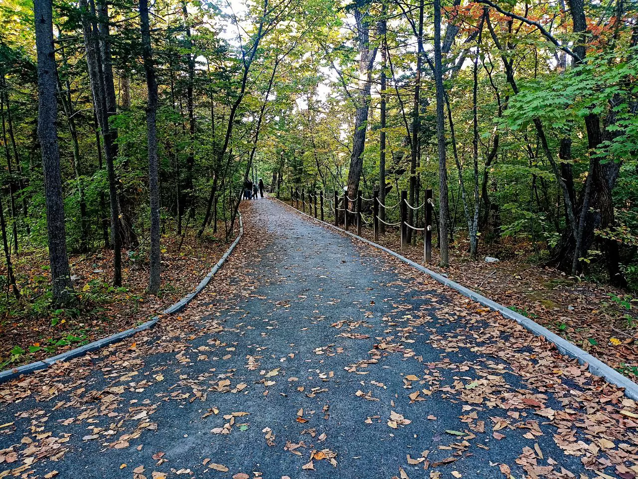 РБК Приморье