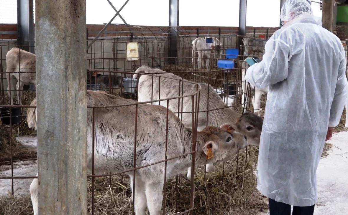 РБК Черноземье