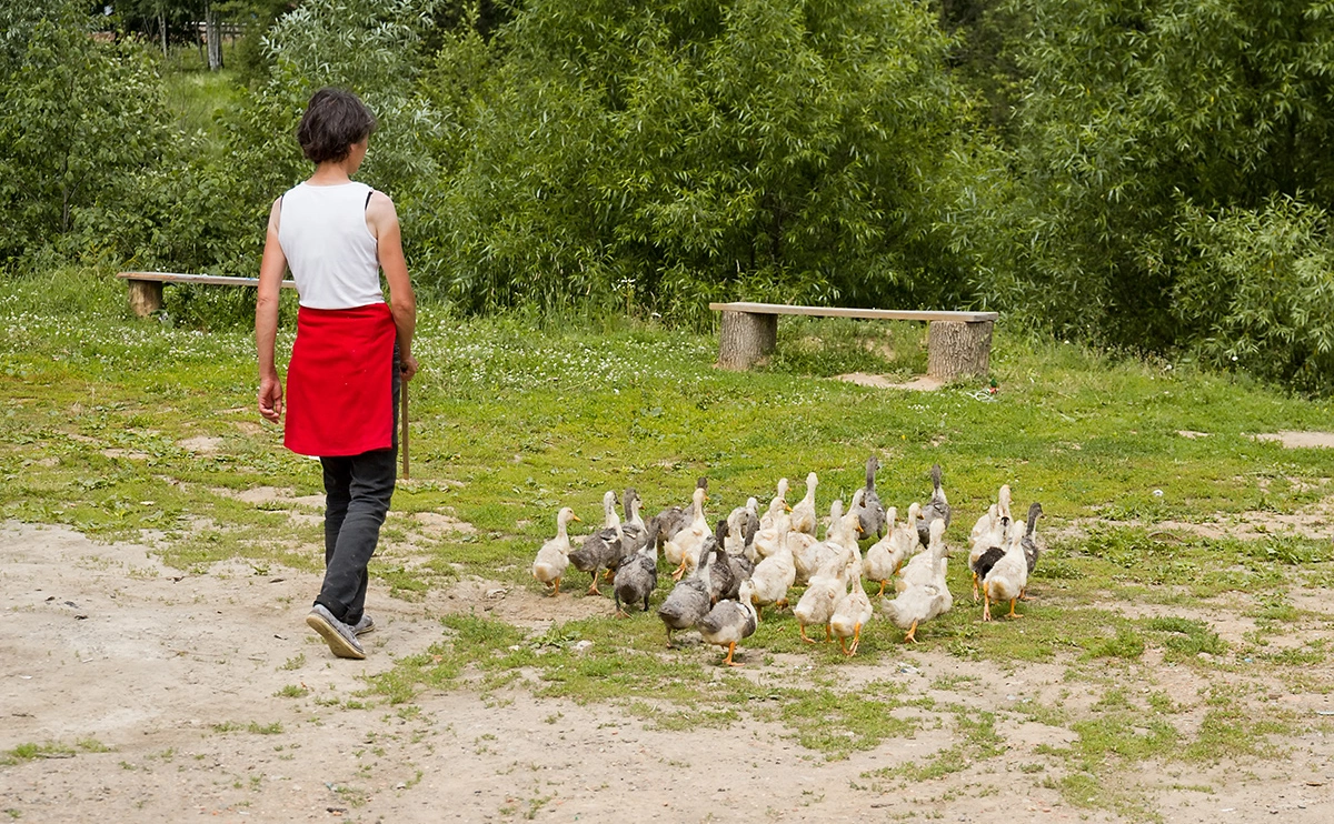 Илья Галахов / Global Look Press