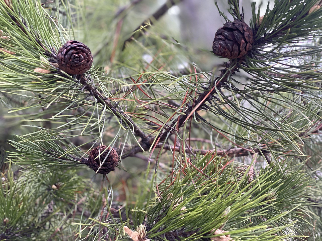 Фото: РБК Приморье