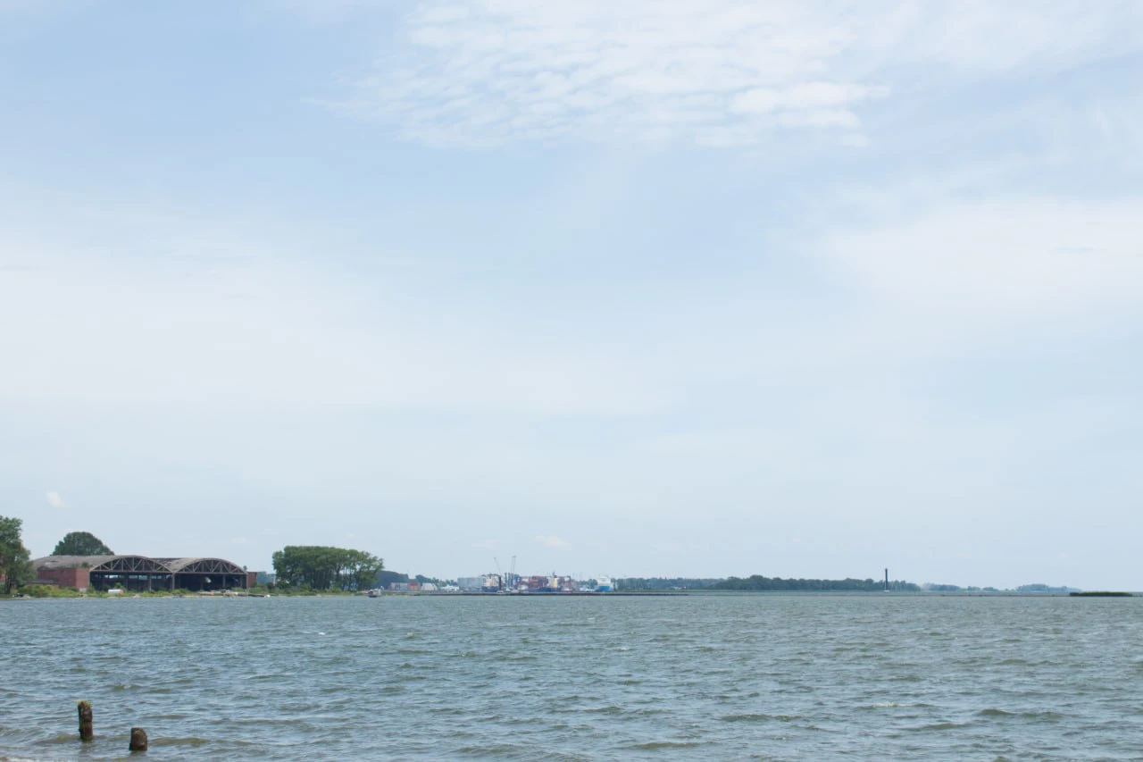 Надежда Будрина