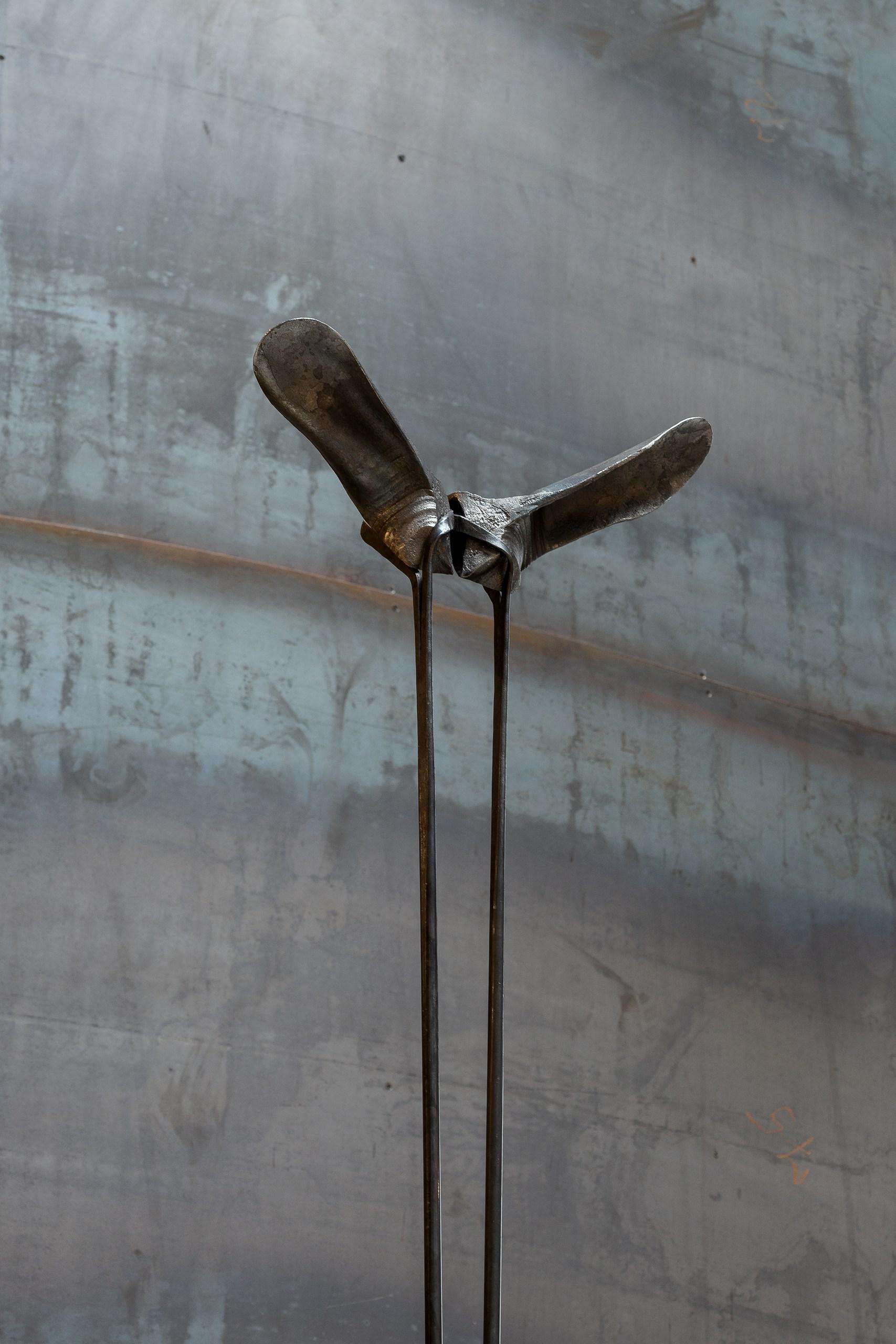 Илья Шалашов, серия объектов «Анима»