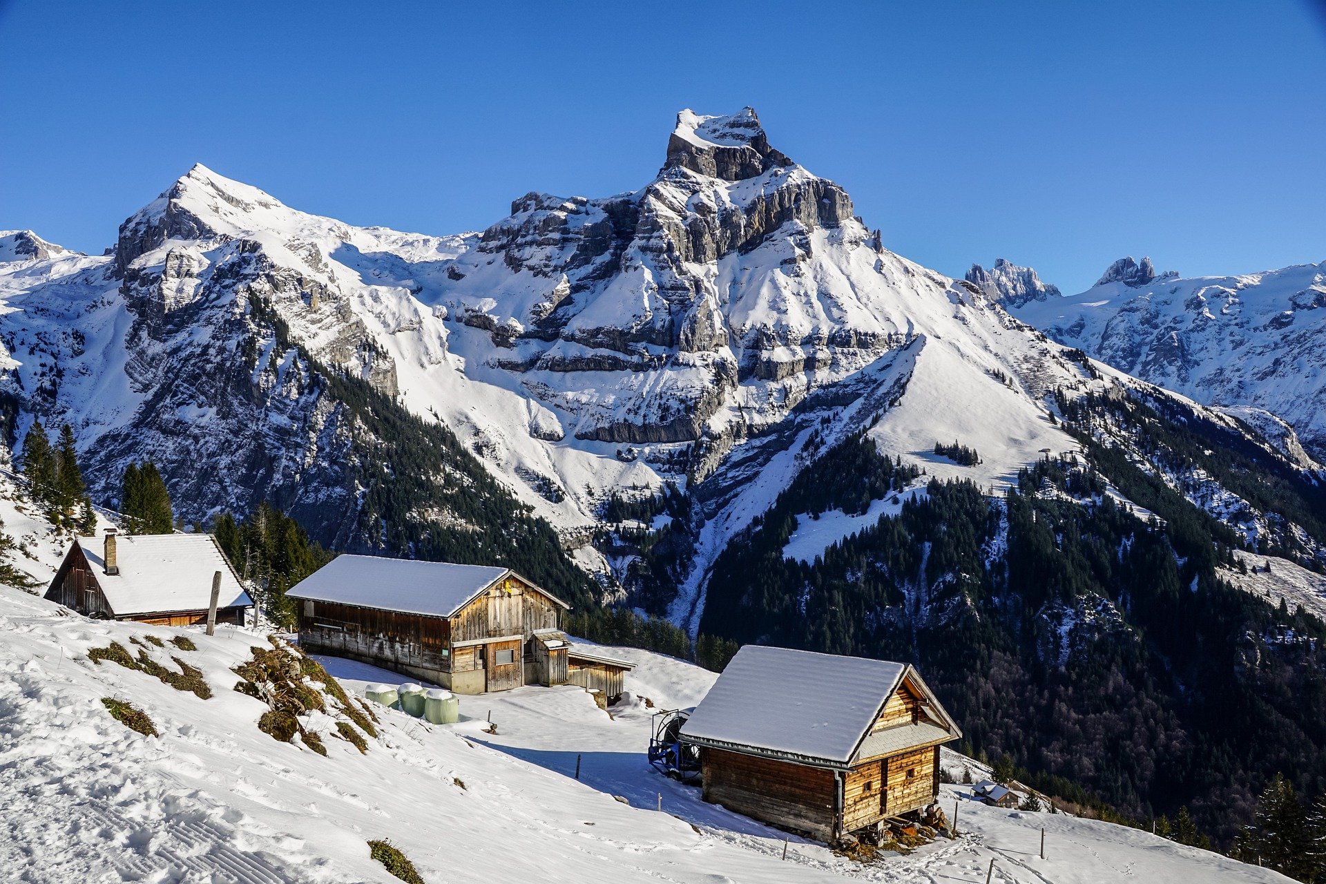 Фото: pixabay.com