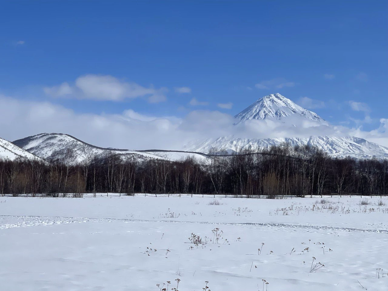 РБК Приморье