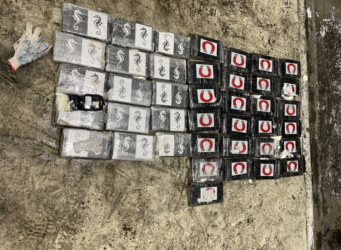 Фото: пресс-служба СЗТУ