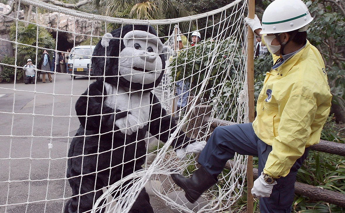 Koichi Kamoshida / Getty Images