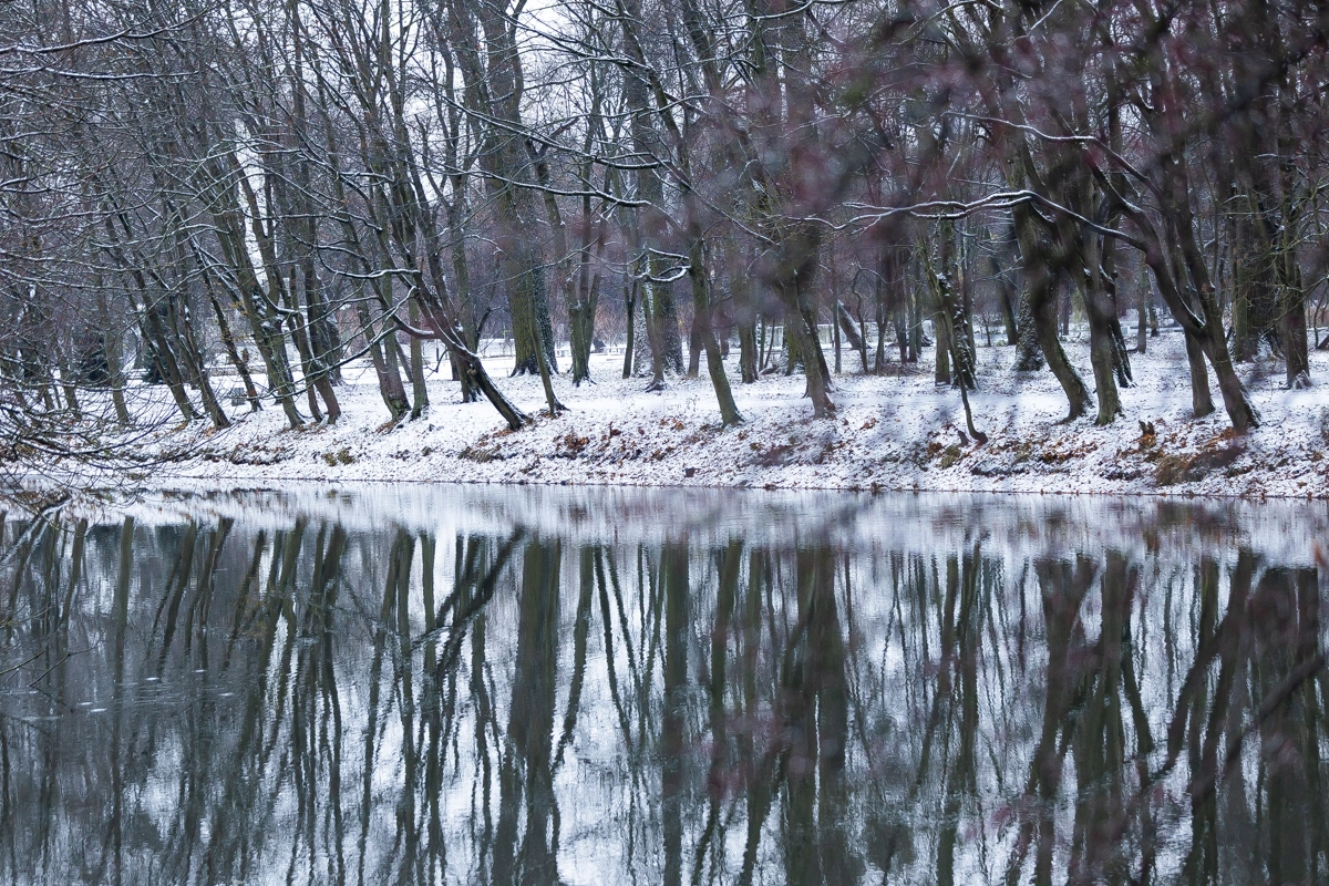 Александр Подгорчук