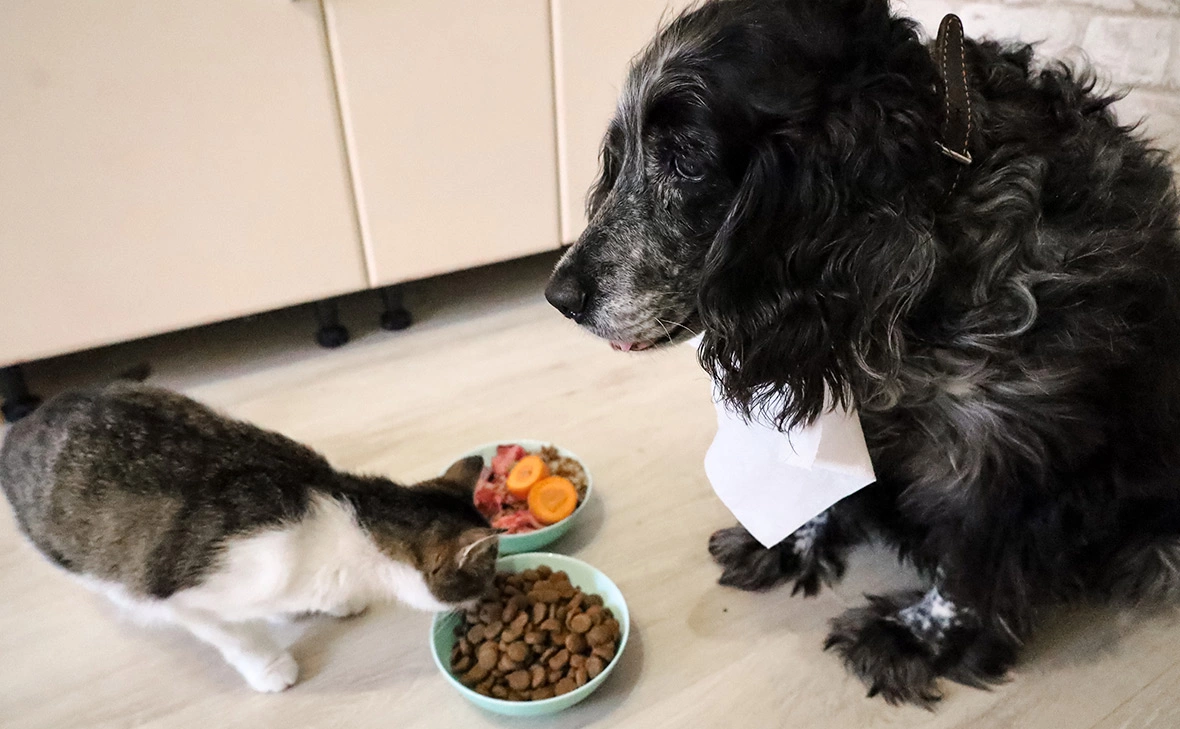 Елена Майорова / Global Look Press