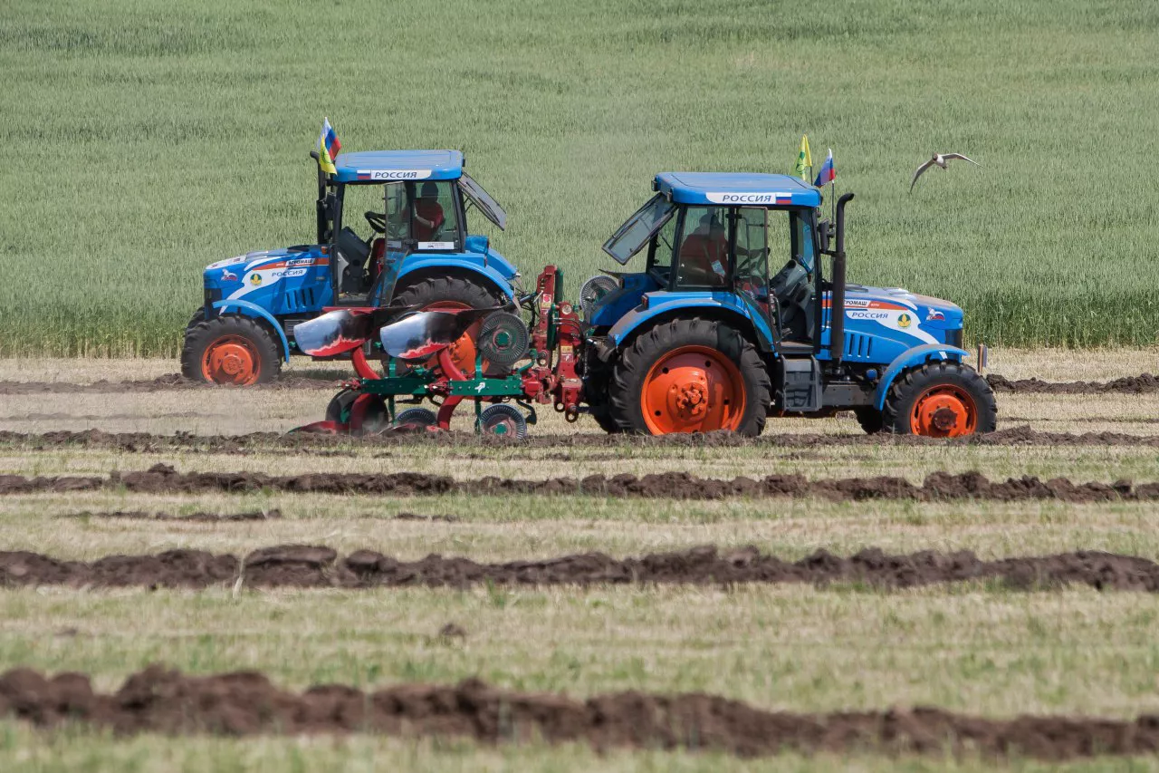 Александр Подгорчук