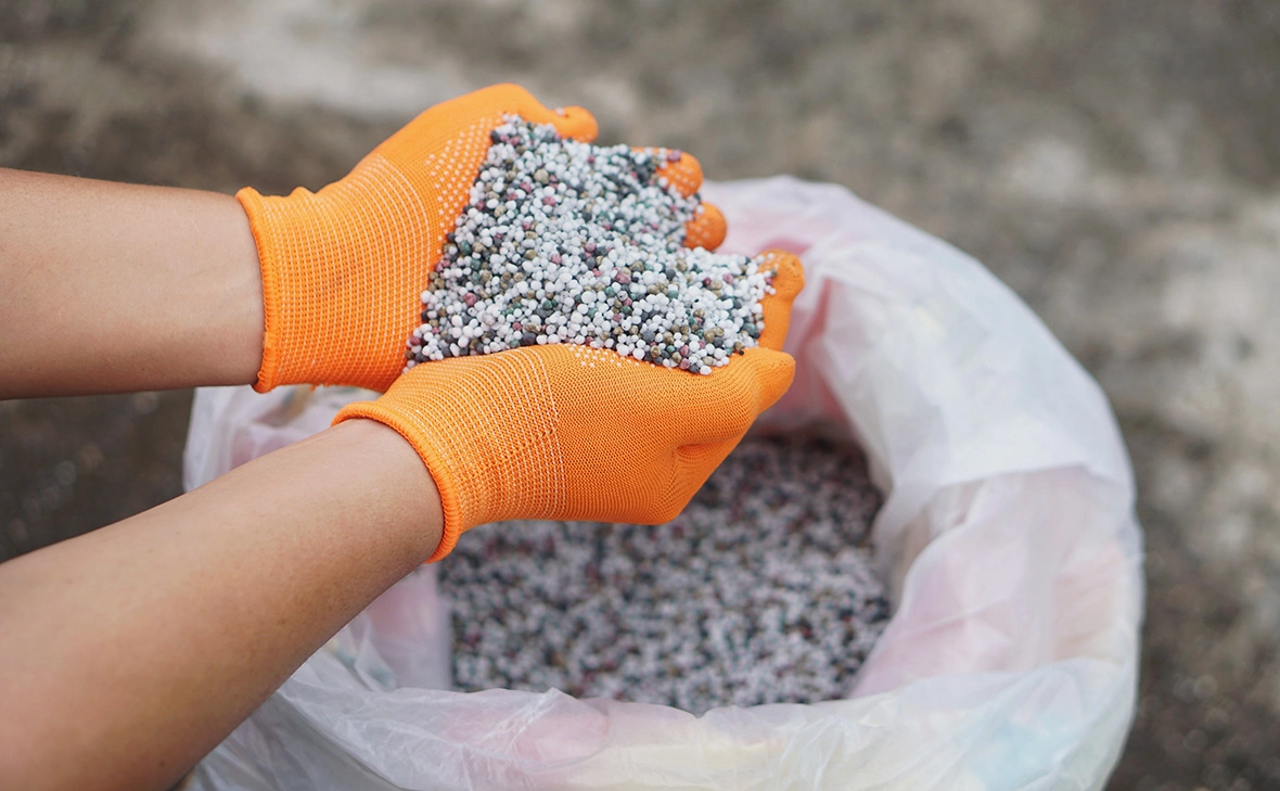 tawanroong / Shutterstock