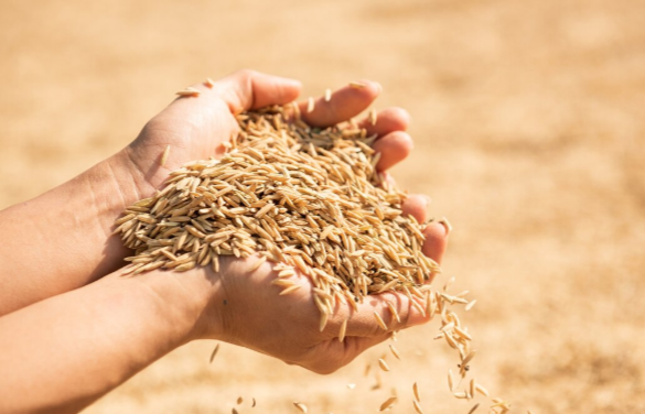 magnific.com