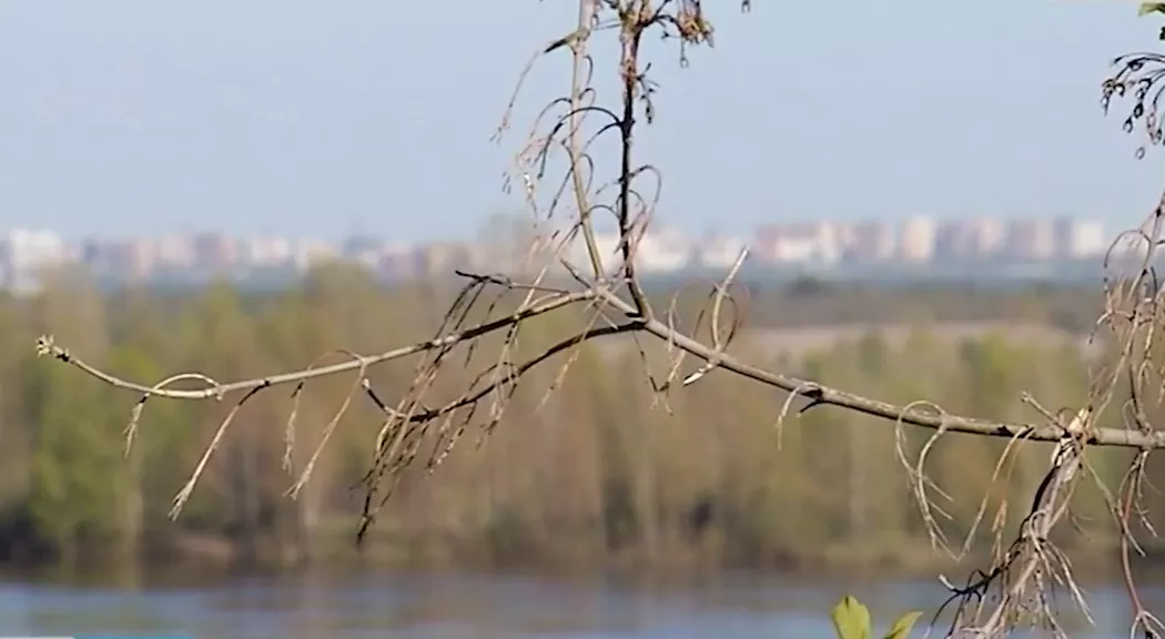 РБК Пермь