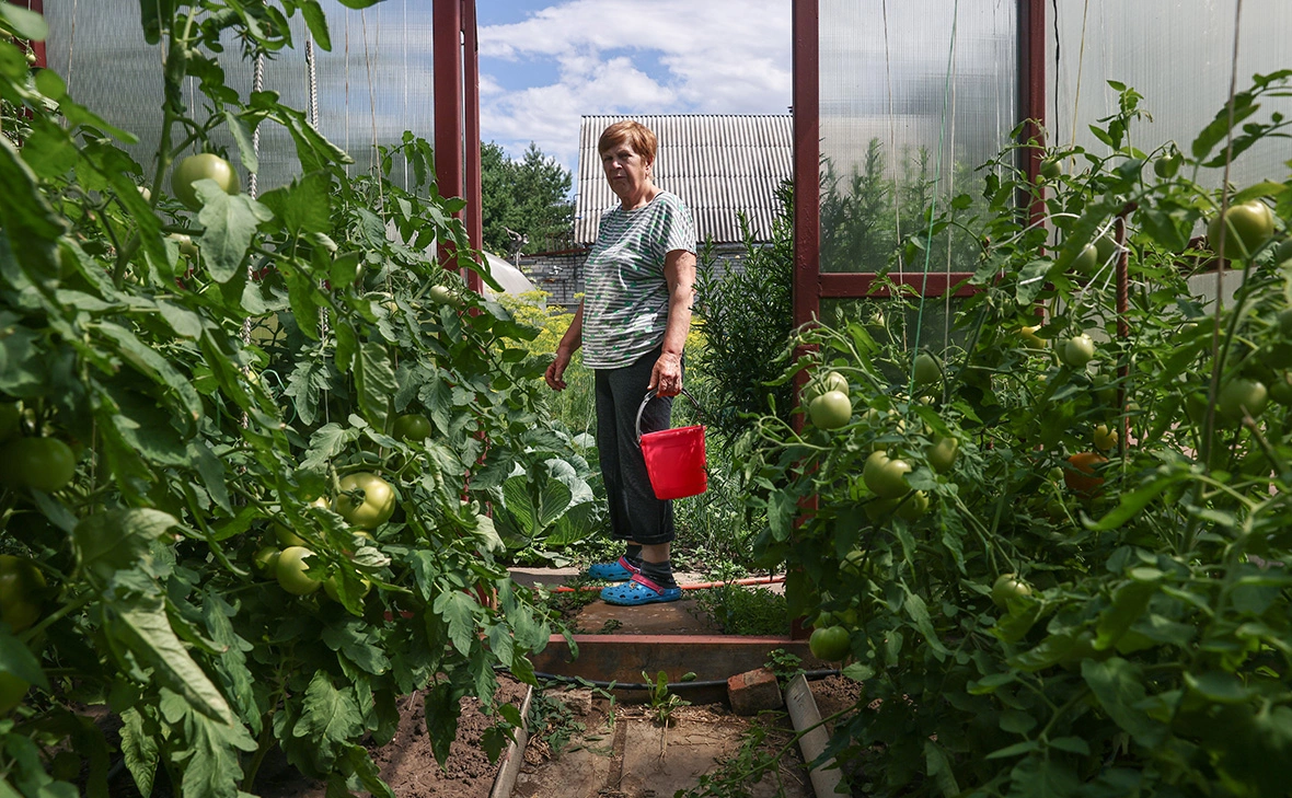 Александр Рюмин / ТАСС