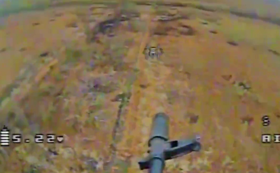 wild_hornets / Telegram