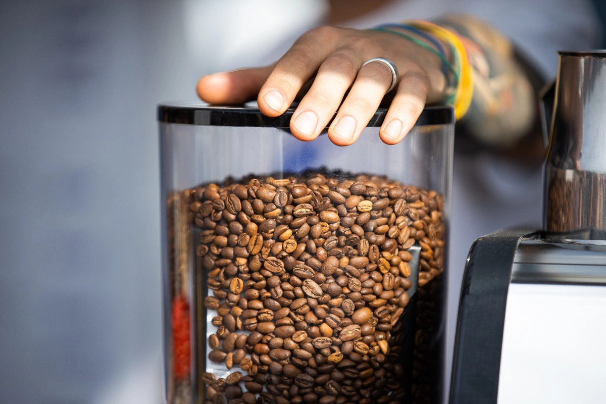 Александр Подгорчук