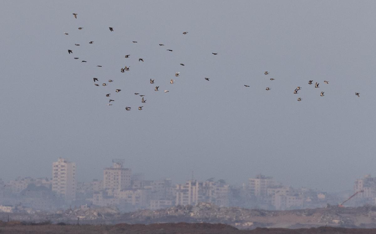 США предложили сделать из Газы курорт при помощи «Восхода солнца»