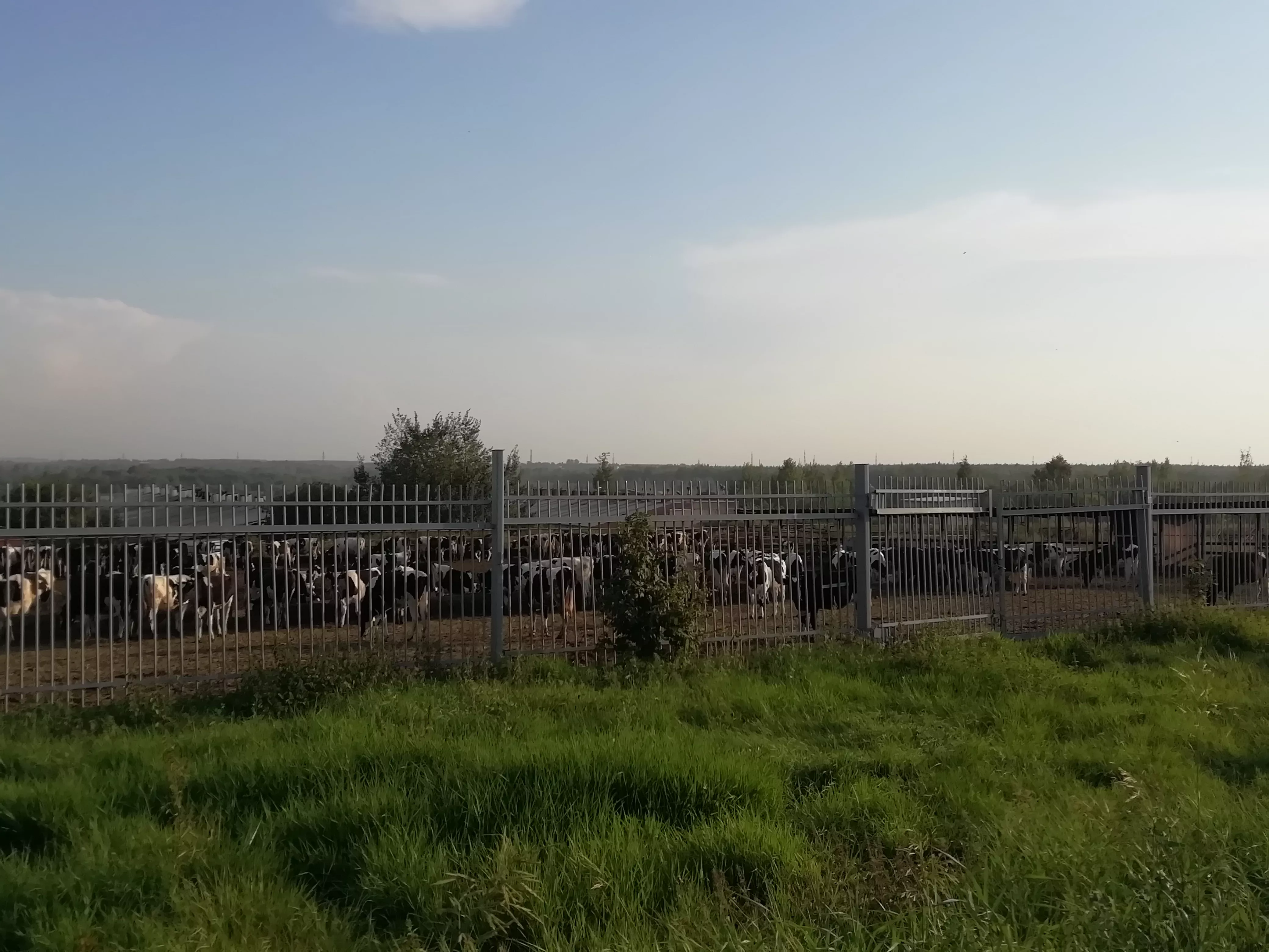 РБК Вологда