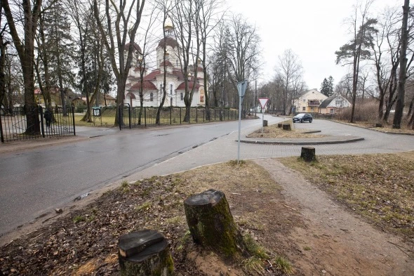 Александр Подгорчук