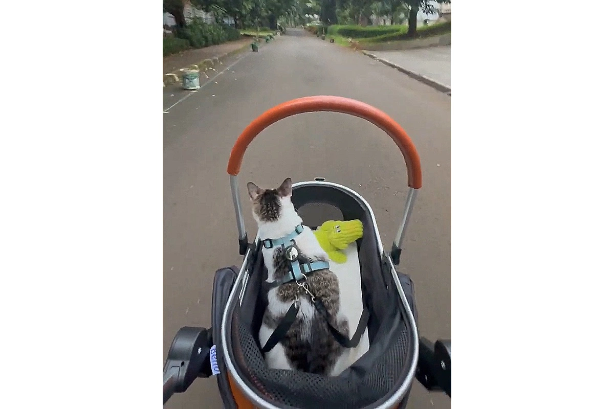 Бобби Кертанегара