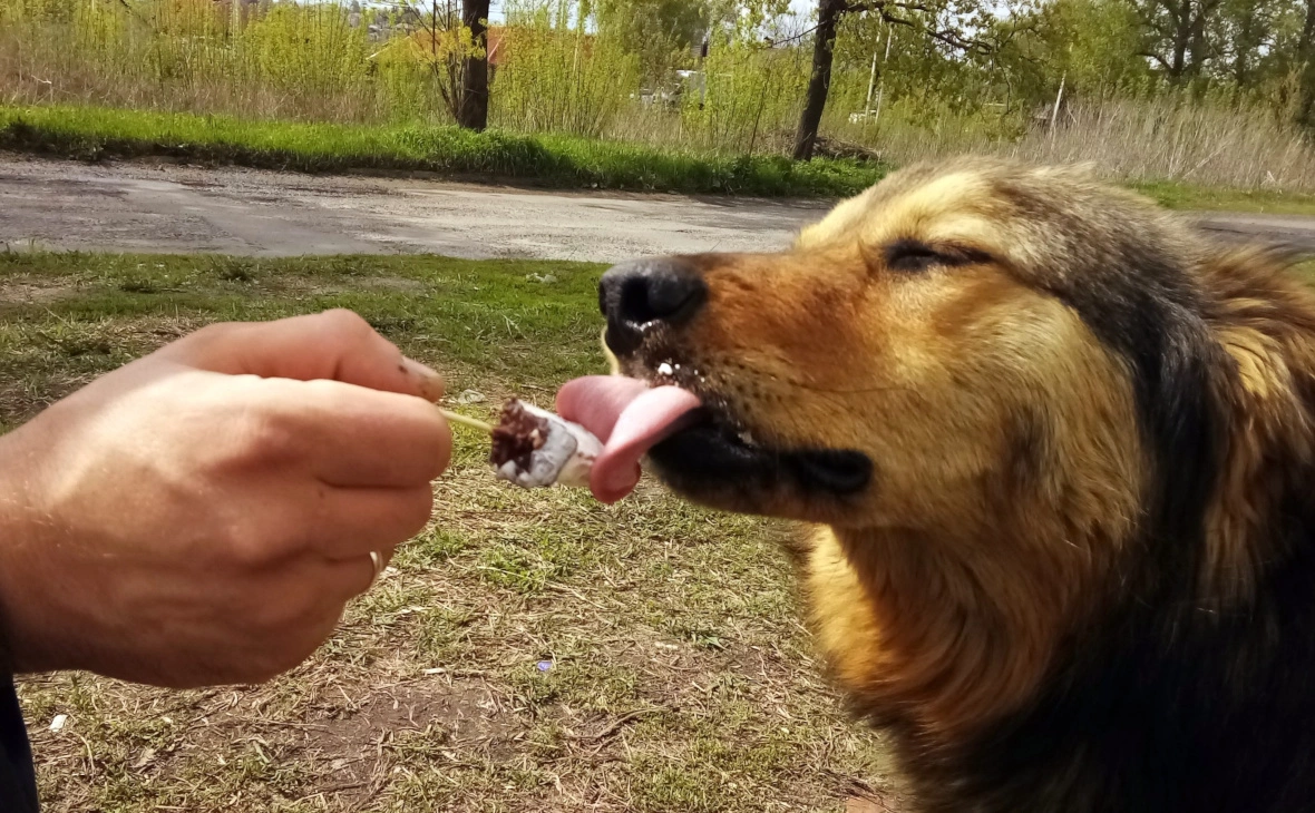РБК Черноземье