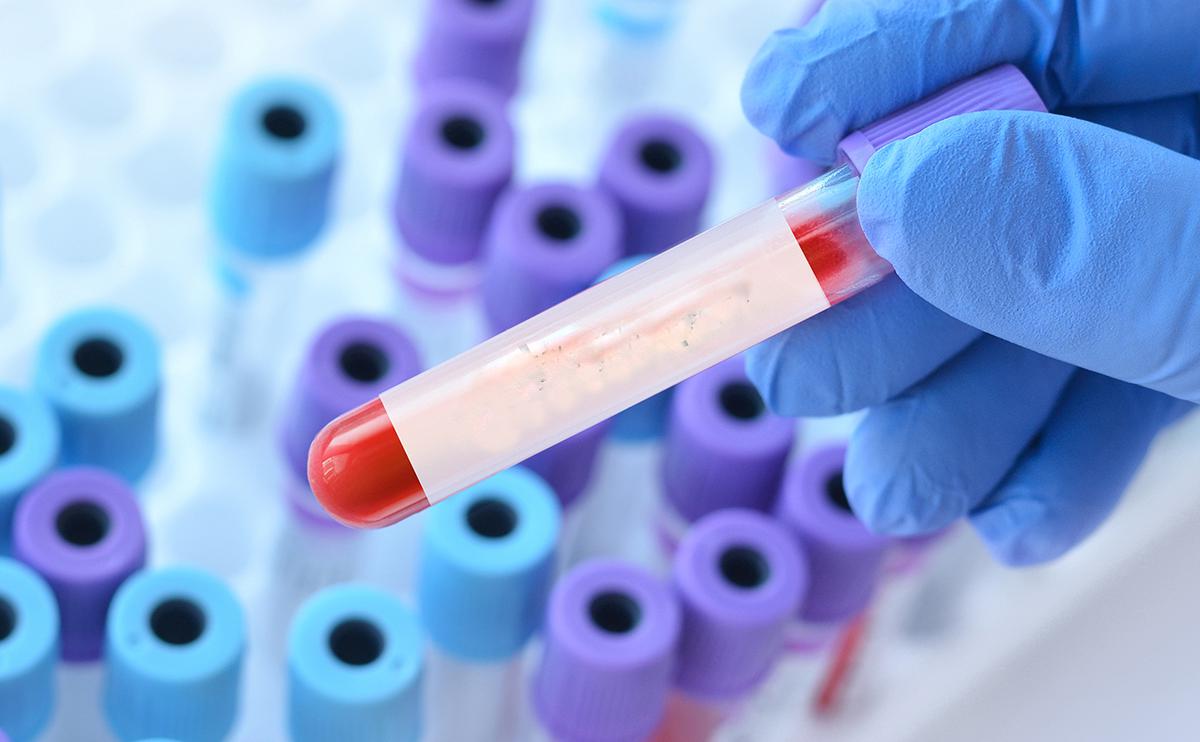 Фото: StanislavSukhin / Shutterstock / FOTODOM