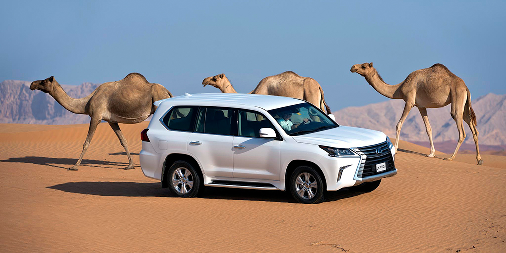 Lexus LX

Вообще-то в наш рейтинг с немалым клиренсом в 215 мм мог попасть и Lexus GX, но мы решили включить абсолютного рекордсмена в линейке Lexus &ndash; модель LX c его 225 мм дорожного просвета. Тем более, что этот показатель для него не предел. Пневмоподвески могут поднять кузов автомобиля еще выше. Однако сделать этом можно только при активации всего внедорожного арсенала.
