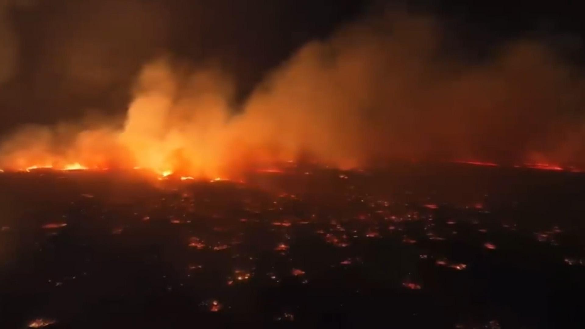 Минимум 36 человек погибли из-за лесных пожаров на Гавайях