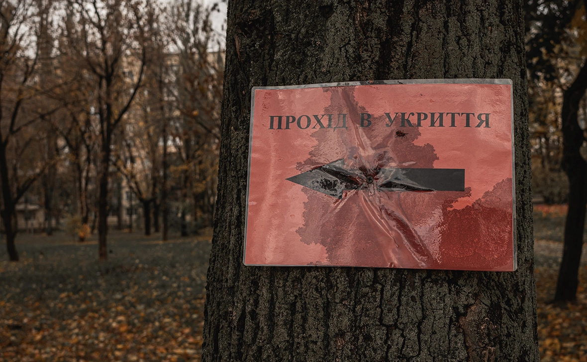 Anna Bohdan / Shutterstock