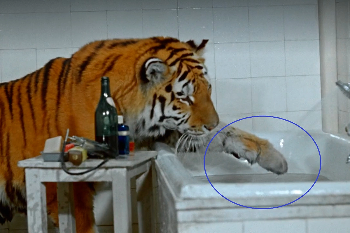 Уровень воды в ванне стал заметно ниже, пены не видно, кадр из фильма «Полосатый рейс»