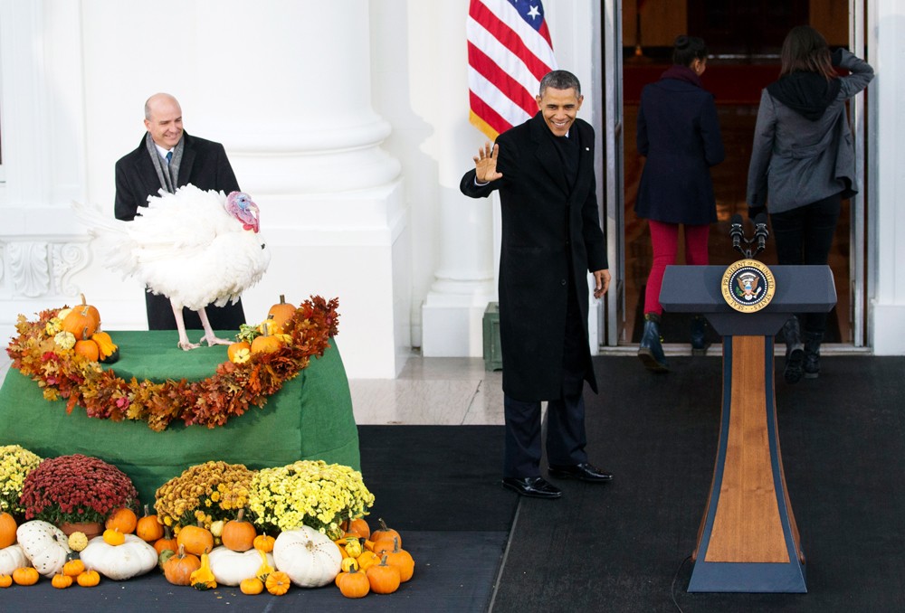 Барак Обама помиловал двух индюков ко Дню благодарения